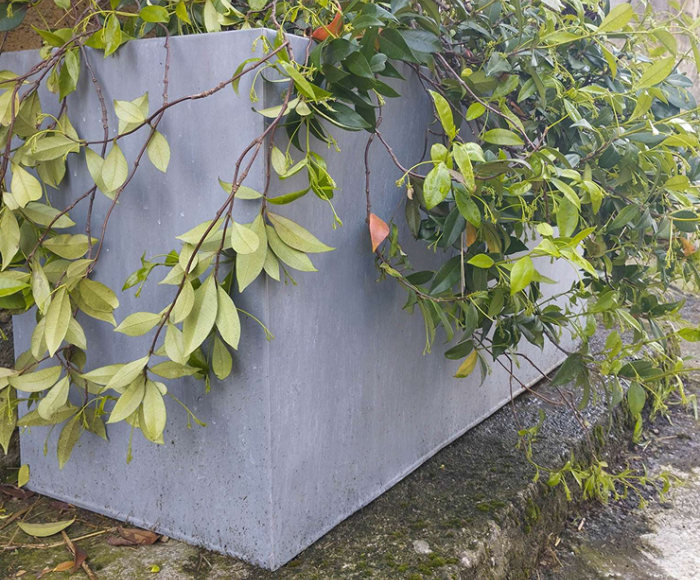 Pourquoi choisir des bacs à fleurs, jardinières et caches pot en zinc ?