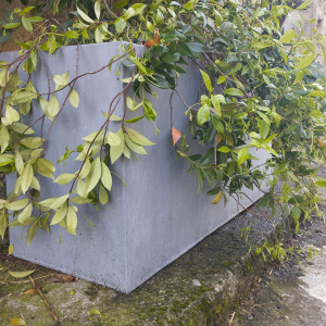 Jardinière rectangulaire 200x45x40cm en zinc naturel